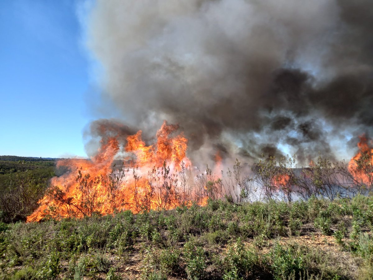 Plan_INFOCA's tweet photo. ℹ️ La quema prescrita en el monte Madroñalejo, Aznalcóllar, ha sido planificada para eliminar matorral y facilitar el aprovechamiento ganadero; formación en el uso y manejo del fuego, y reducción del combustible.

📍 Uso del 🔥 bueno para prevenir #IIFF

#rxfire 
@CILIFO_UE https://t.co/8LVZc0eQ5u