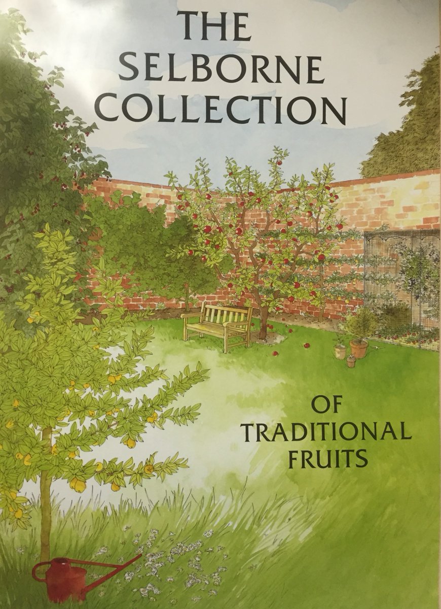 Our top 4 selling fruit trees are all on sale for this weekend only.
blackmoor.co.uk/newsletter-sal…
#growyourown #Deals