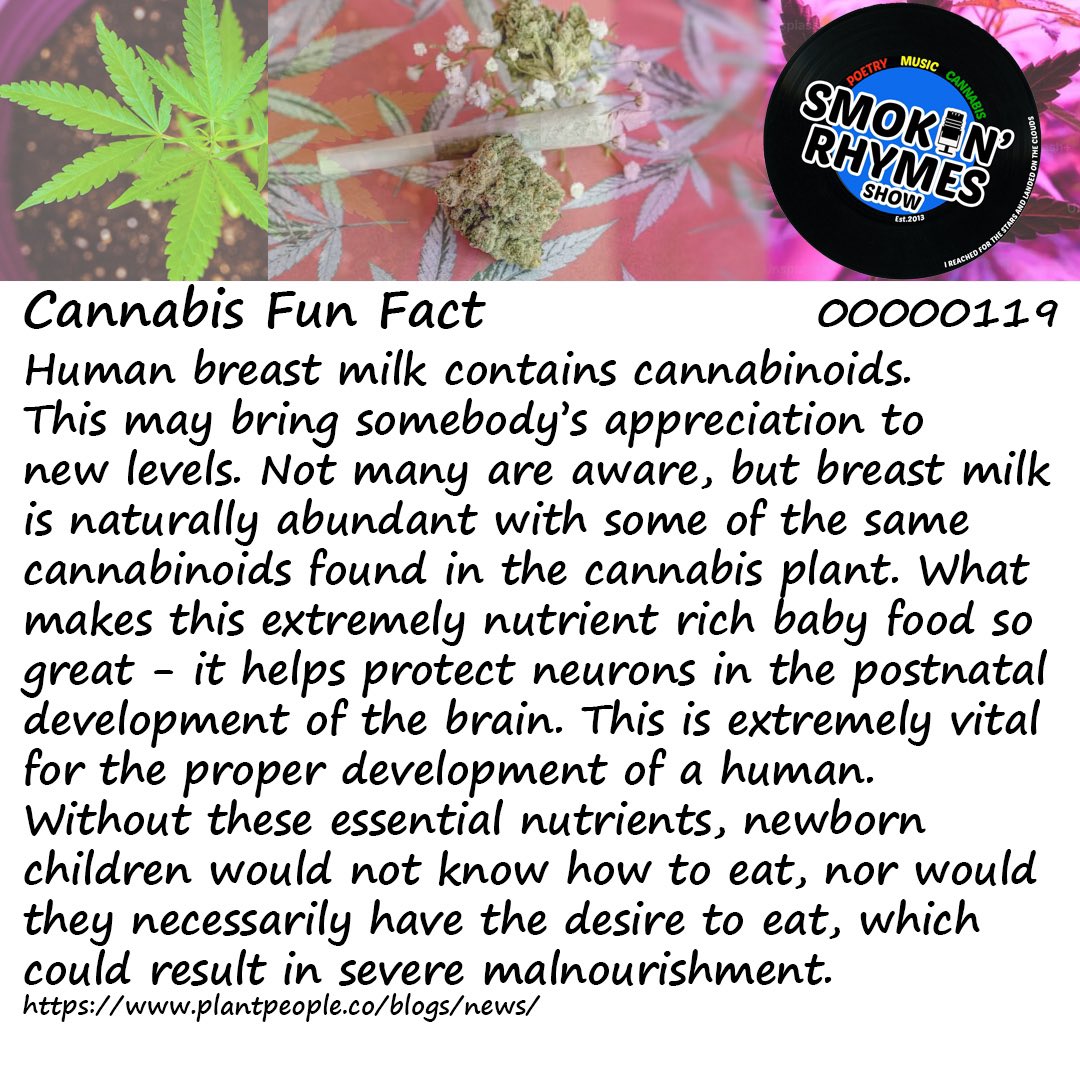 Human breast milk contains cannabinoids.
#funfact #funfactfriday #cannabisfunfact #cannabisart #cannabiscommunity #cannabiseducation #cannabis #cannabismedicine #cannabisculture #cannabissociety #cannabislifestyle #cannabislover #cannabisindustry #cannabisphotography #aimhy