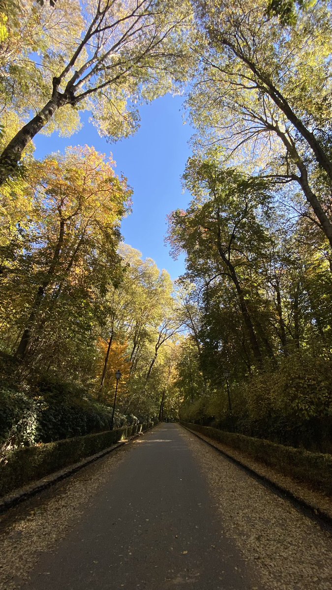 Samuel_MR17's tweet photo. Ha tocado sacar el chaquetón a primeras horas con este fresco amanecer, la primera helada de la temporada en muchas zonas. Mínima que ha rondado los 2°C por la capital.

Aprovechad estos días para dar un paseo (acompao mejor💋) por el bosque de la Alhambra, que está espectacular https://t.co/ca1N06Z5Ym