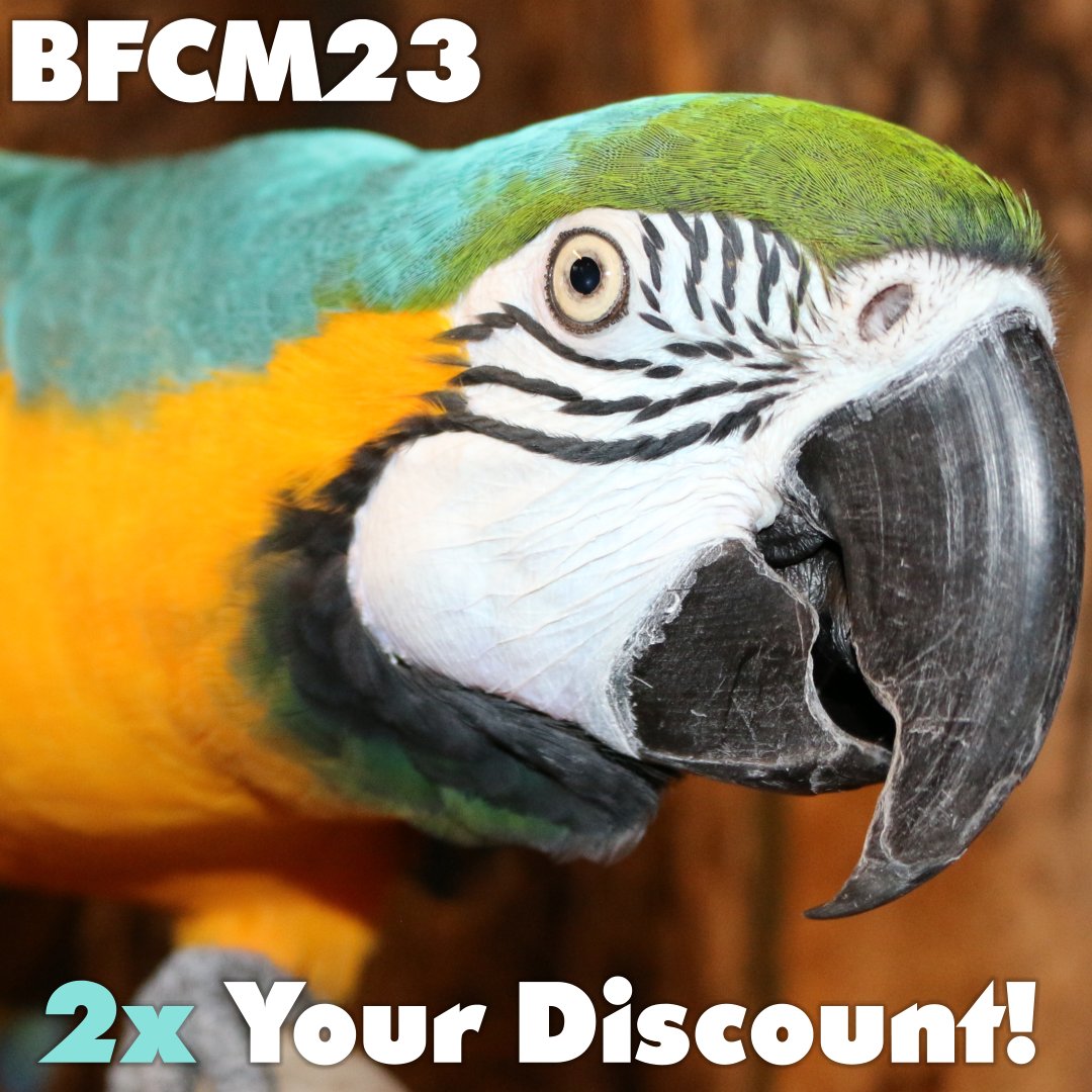 Promo code BFCM23 on our website gets you double the normal discount on #BirdKingdom tickets!

And for the first time in ages, you can also use this discount on MEMBERSHIPS.  Just $35 for adults, or $25 for kids!

We are excited to welcome you for an entire year!