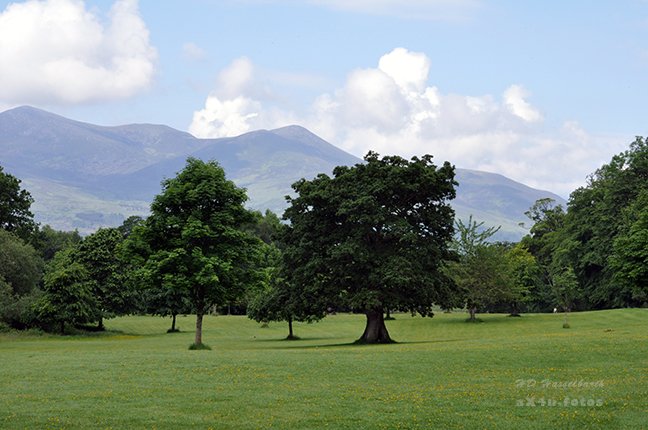 Kerry Ring and Killarney National Park in Ireland, where green is the color.  

#ireland #travel #travelphotography #nature #landscape #aX4uScape #minimalist #FridayFeeling #BlackFriday #GreenFriday #outdooradventures #Serenity #serendipity