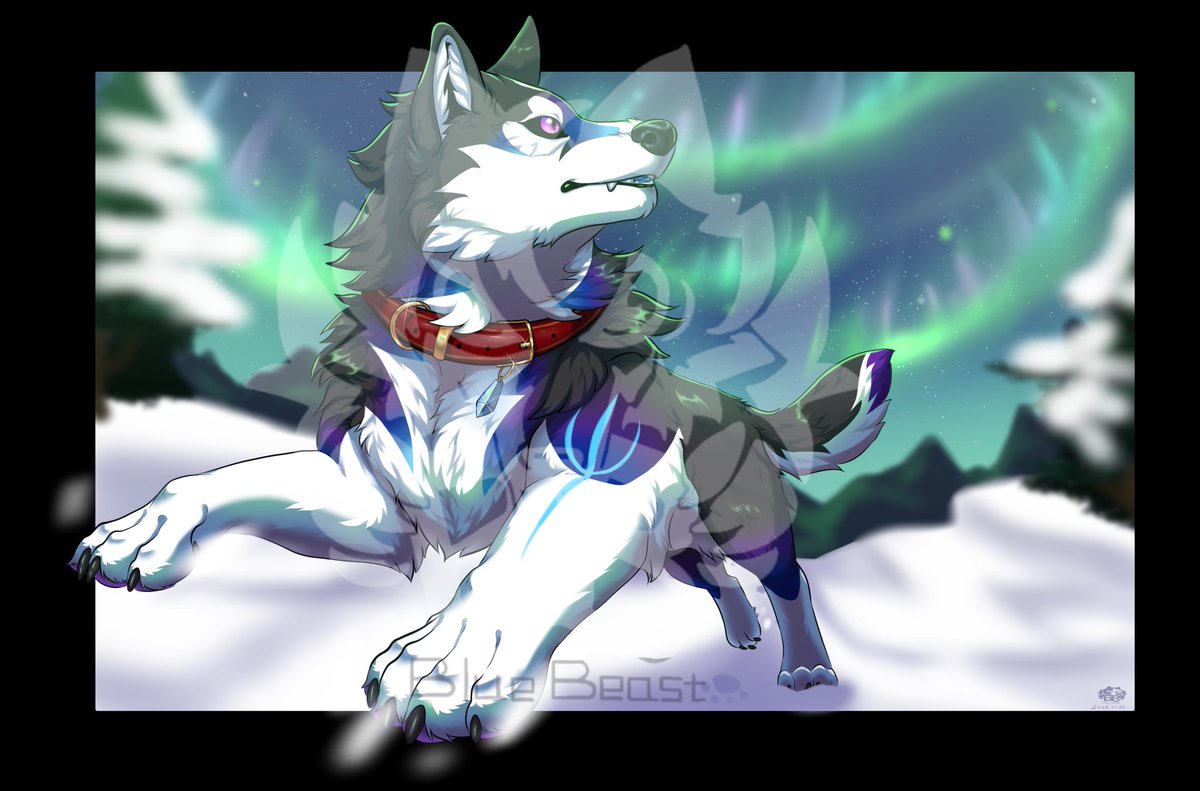 bfwf29937's tweet photo. commission for  Satellite
pursuing the aurora
Thank for the commission!!!

委託展示-追尋極光
感謝衛星的委託!!!!

#furryart https://t.co/DcH9WRgLxr