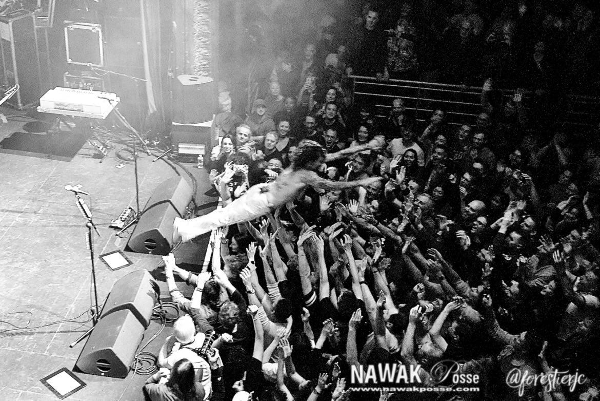 @JustinHawkins landed in Paris 🦅

📸 @nawakposse & @ForestierJc 

@thedarkness live at @lacigaleofficiel
Paris, Nov 23rd 2023

#thedarkness #justinhawkins #frankiepoullain #danhawkins #rufustaylor #rockband #tdkjusettes