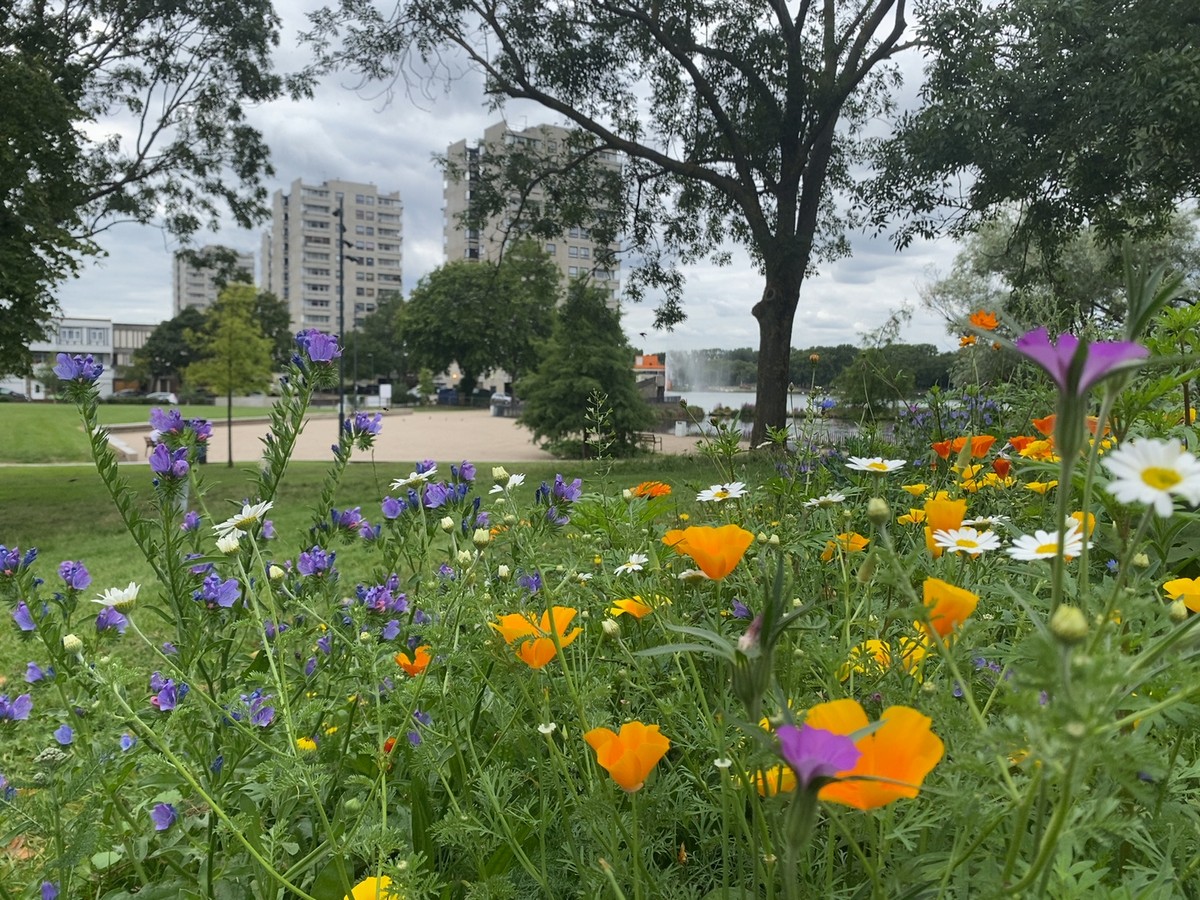 e-architect tweet media