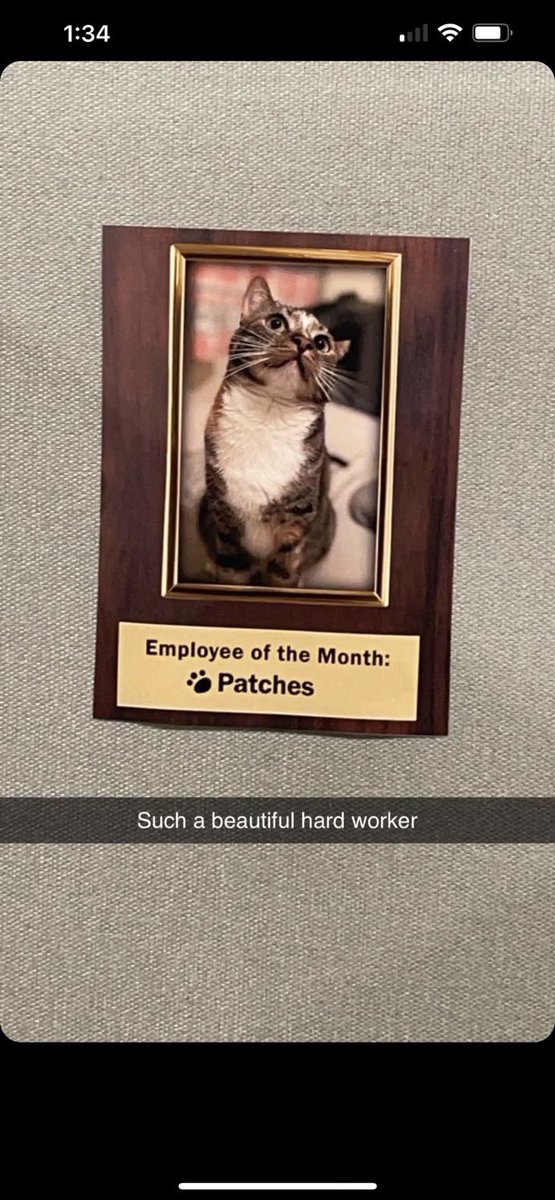TMRNOFACE's tweet photo. dream and patches this, dream and patches that, i need antis to put some respect on her name and bffr.
fuck them and their sick delusions. she gets more love than any of them clearly ever got 💀 https://t.co/mu0iRNMOrz