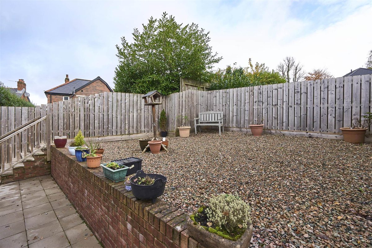 Templeton Robinson tweet media