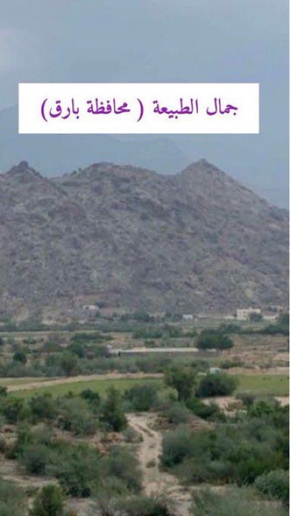 mfzzzg's tweet photo. جمال الكون اناظره بالعيون
 وابحرت بالنظرمابين الجفون 
                     ❤️
لقيت (بارق)نقطةفي حرف نون
متربع بخياله داخل نون العيون 
                     💜
بقلمي✍️ (M) 💚🌹🇸🇦💎👋 https://t.co/QXxNGTbAES