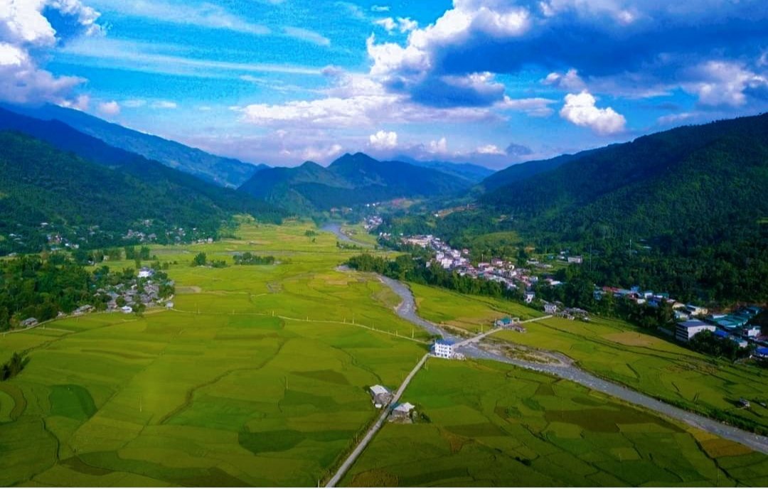 Thu Lạ tweet media