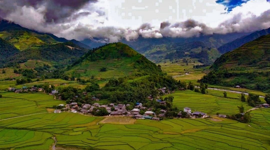 Thu Lạ tweet media