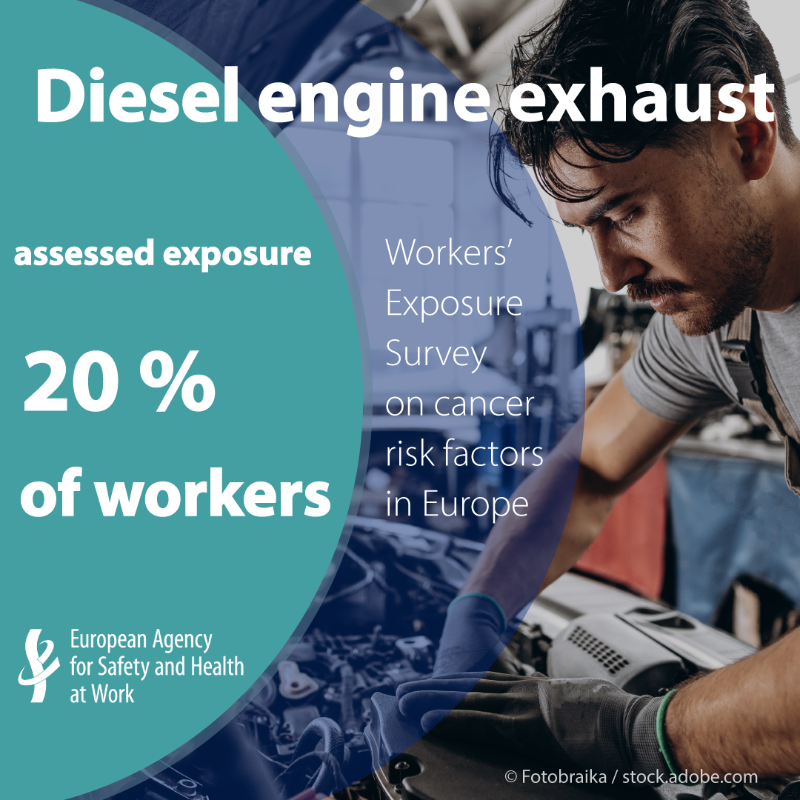 EU_OSHA's tweet photo. ☀️ Solar UV radiation
🚗 Diesel engine exhaust
🛢️ Benzene

These are the most comon #cancer risk factors to which EU workers are exposed.

🔎 Explore more first finding from our pioneering Workers' Exposure Survey 👉

#WorkSafety #OSH #SafetyandHealth