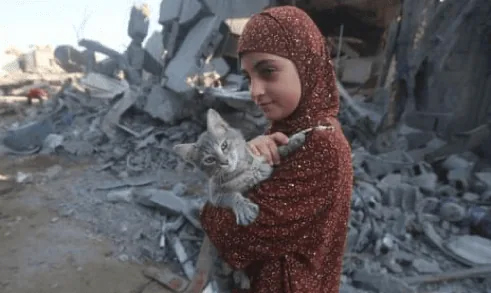 Todd Reisz tweet media