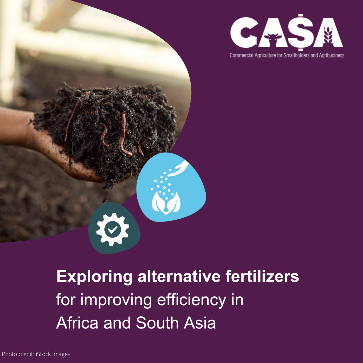 CasaProgramme's tweet image. Three alternative fertilizer techs have the potential to support sustainable agri intensification: 
✅green ammonia
✅organic fertilizers
✅biological products
Find out more in our new report:bit.ly/CASA-fertilize…
Or a 1-page 📜 summary: bit.ly/CASA-1-pager-f…