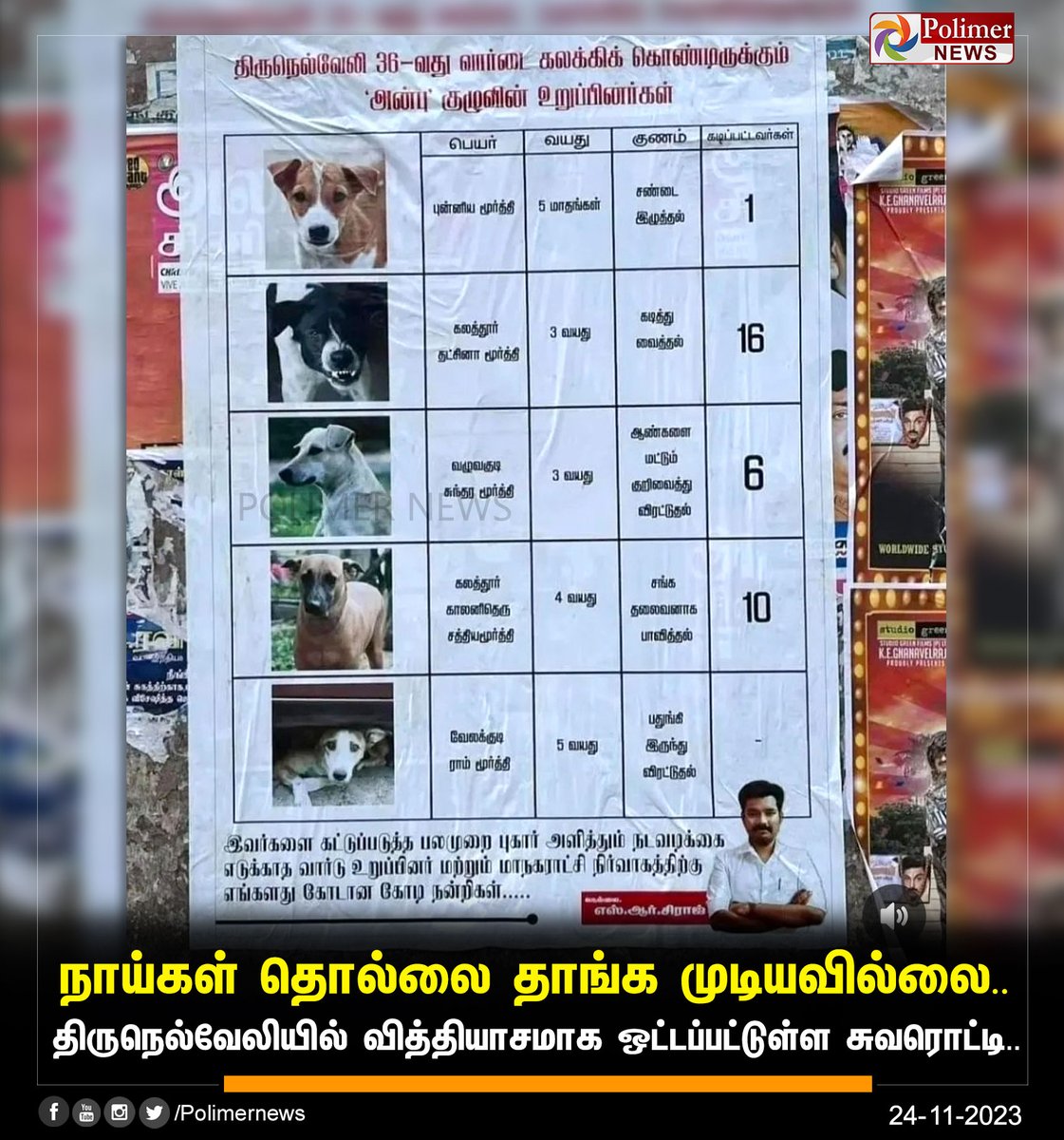 #NEWSUPDATE || திருநெல்வேலியில் வித்தியாசமாக ஒட்டப்பட்டுள்ள சுவரொட்டி.. | #Tirunelveli | #StreetDogs | #Dogs | #Poster | #Viral | #PolimerNews