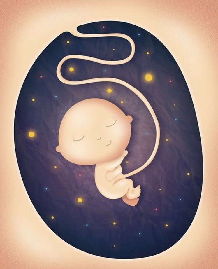 Dejemos a los niños nacer. 
#SiaLaVida