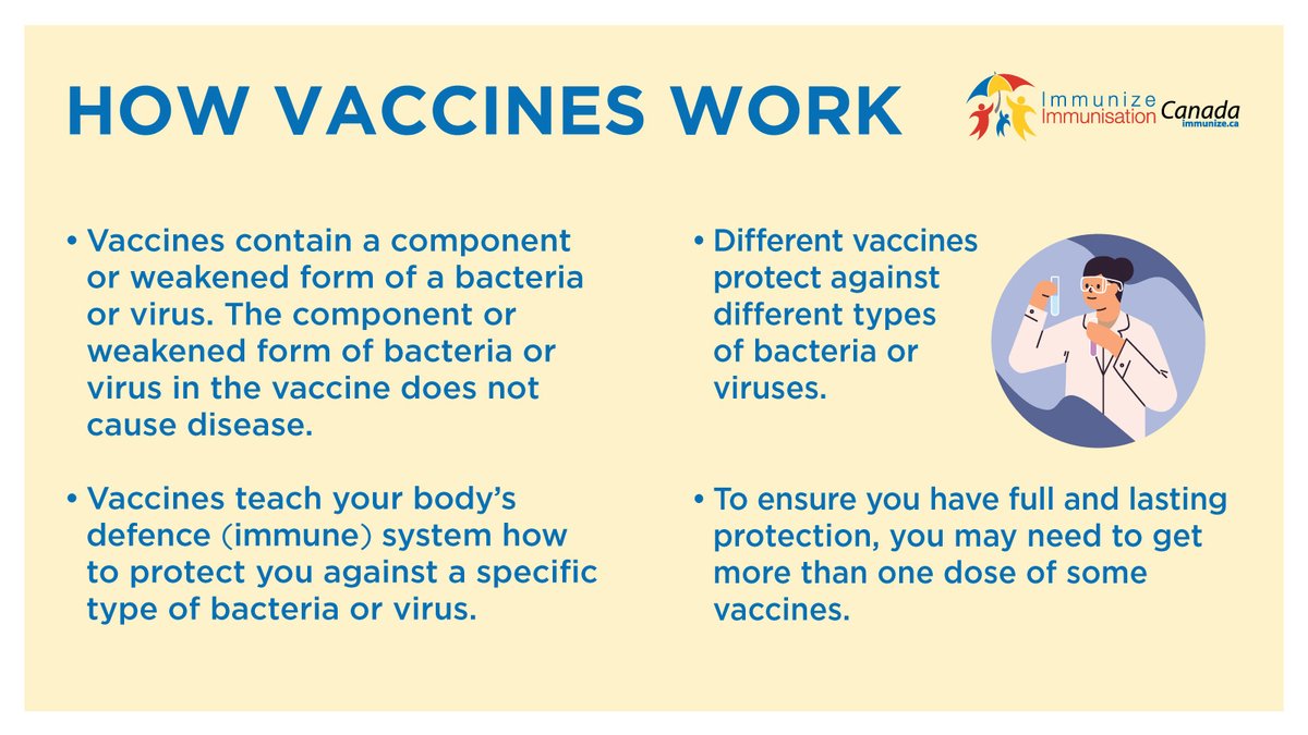 How do vaccines work? immunize.ca/sites/default/… #VaccinesWork #GetImmunized