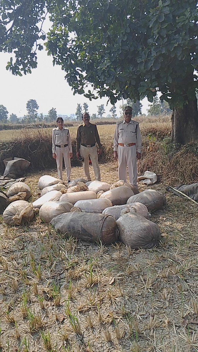 collectorbalagh's tweet photo. प्‍लास्टिक की पन्नियों में भरा हुआ 660 किलों महुआ लाहन जब्‍त
जिले में मदिरा के अवैध रुप से निर्माण संग्रहण और विक्रय कर रहे लोगों के विरुद्ध आबकारी विभाग द्वारा लगातार कार्यवाही जारी है।
#ElectionUpdate
#rajivkumareckumarec
#CEOMPElectionsMPElections
#ECISVEEPEP https://t.co/YdZ7WWrDgF