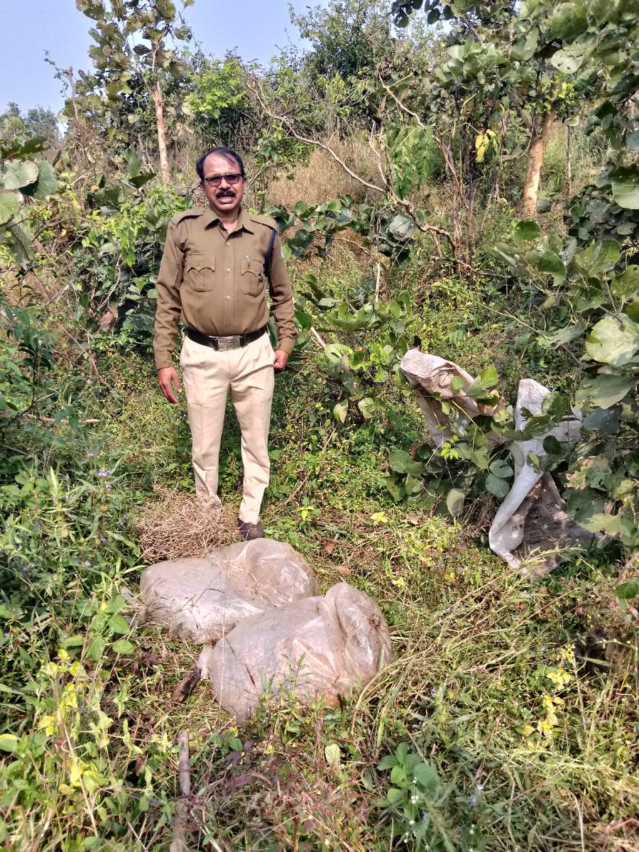 collectorbalagh's tweet photo. प्‍लास्टिक की पन्नियों में भरा हुआ 660 किलों महुआ लाहन जब्‍त
जिले में मदिरा के अवैध रुप से निर्माण संग्रहण और विक्रय कर रहे लोगों के विरुद्ध आबकारी विभाग द्वारा लगातार कार्यवाही जारी है।
#ElectionUpdate
#rajivkumareckumarec
#CEOMPElectionsMPElections
#ECISVEEPEP https://t.co/YdZ7WWrDgF