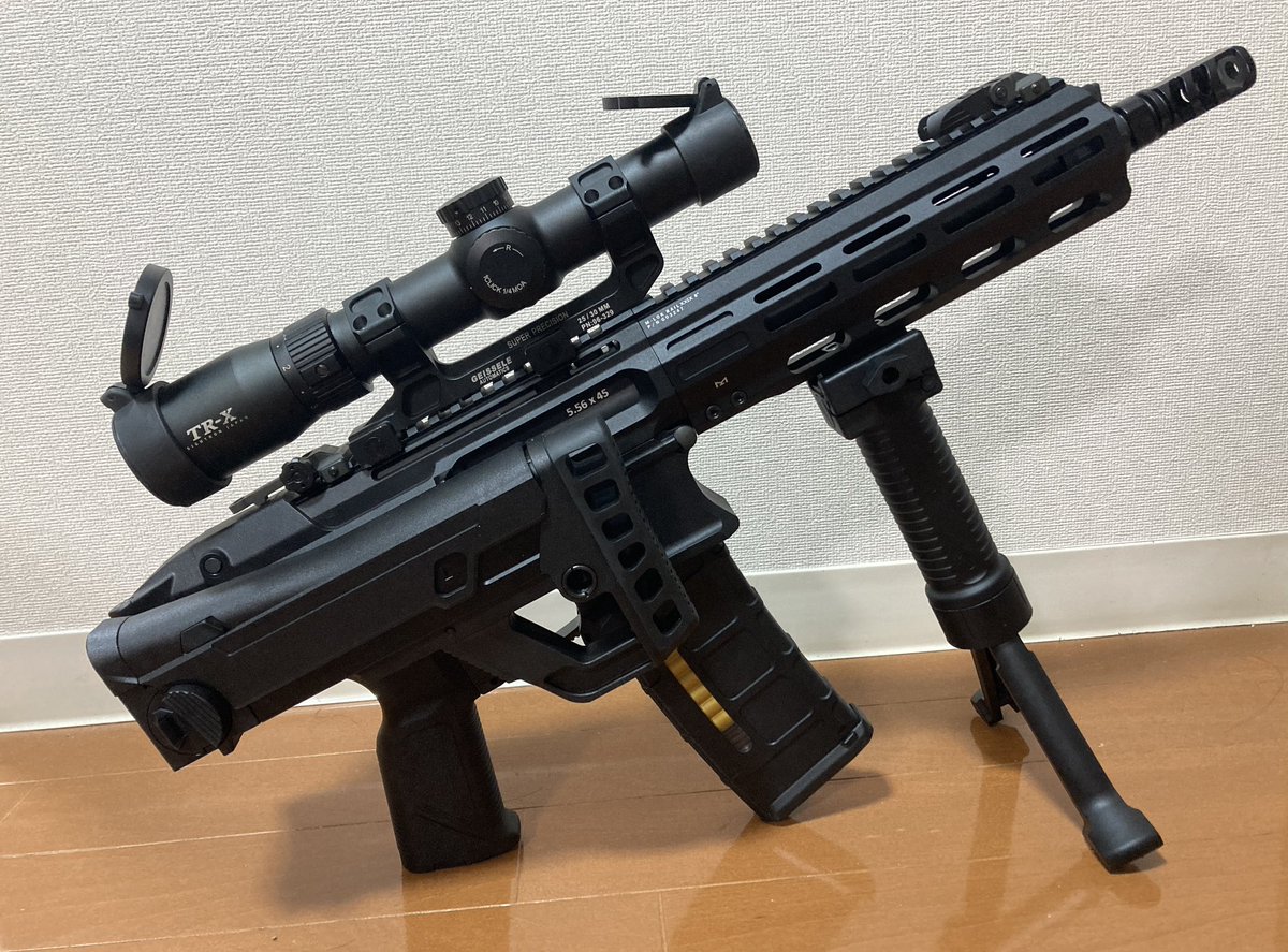 G&Gの新作MCP556使って即席なんちゃって20式カスタム_(┐「ε:)_ 