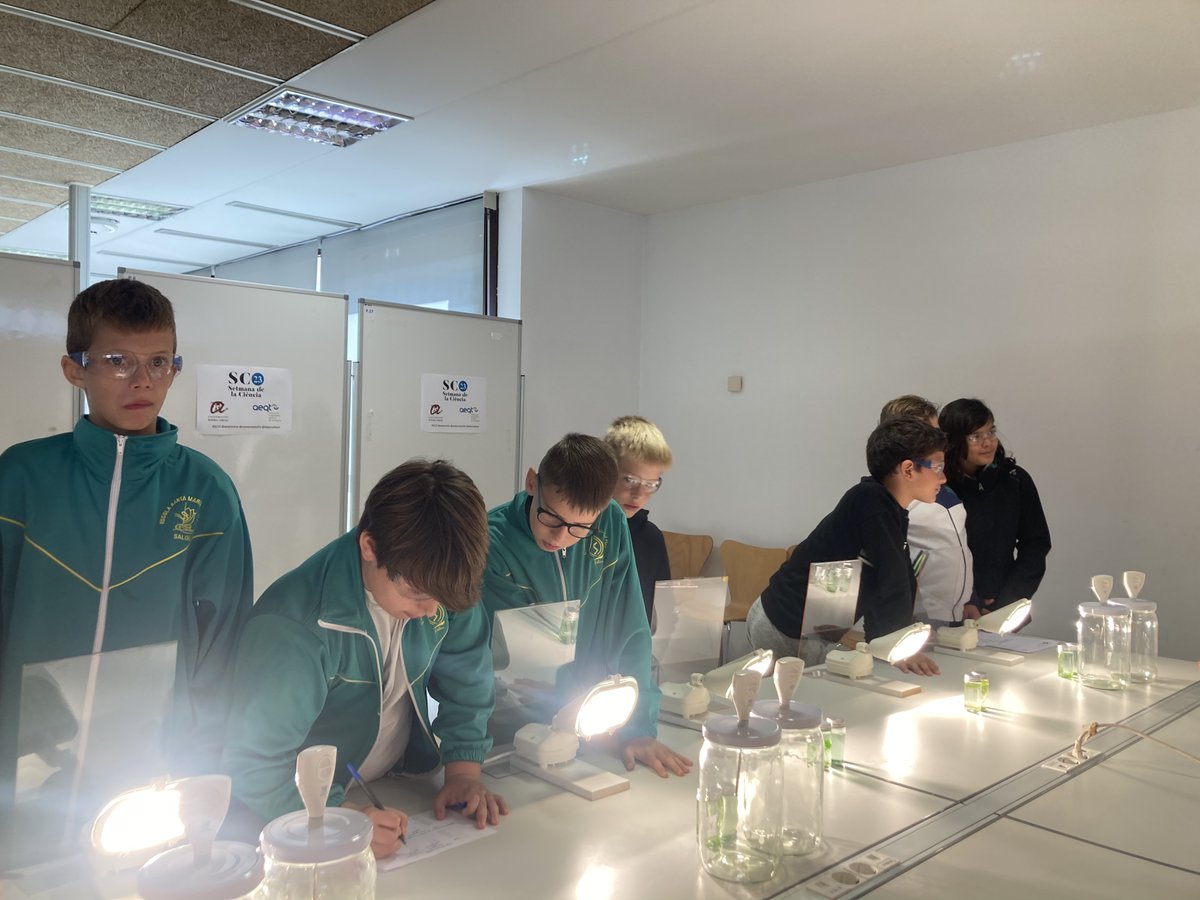 AliancaStem's tweet photo. 21/11 L'alumnat de l'@escsantmar han realitzat les activitats de la #SC23cat. Com verdaders investigadors  i investigadores han après què és i com lluitar contra el canvi climàtic. @universitatURV @aeqtonline  #aprendrefent https://t.co/CEatknTs6q