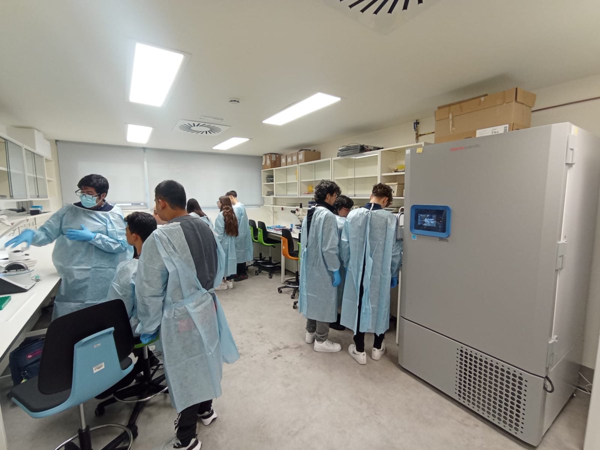 IES Leonardo da Vinci (Majadahonda) tweet media