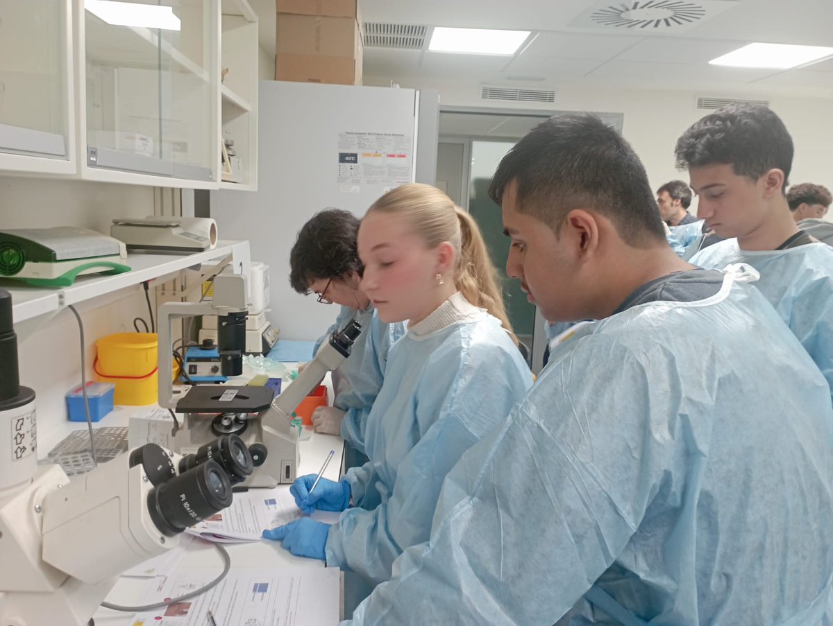 IES Leonardo da Vinci (Majadahonda) tweet media