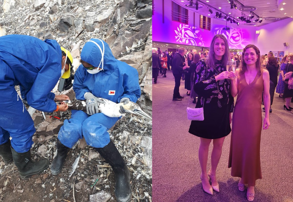 Proud to have attended the @NatureofScot Awards with @JWEJeglinski representing the great team nominated for our work to understand impact of HPAI in gannets - also wonderful to swap the coveralls & masks for sparkles & stilettos 👠💃🥂 #wotnowellies #teamgannet