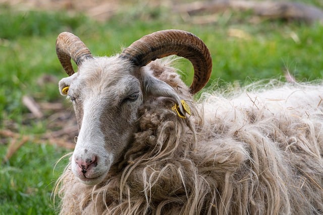 Wer es schon einmal versucht hat, Heidehaus oder Freiluftschule zu Fuß oder mit dem Rad zu erreichen, kennt den Fischbeker Heideweg und dessen Zustand. Tiefe Schlaglöcher prägen den unbefestigten Weg.Und das gilt genauso für Versuche, mit dem Auto

spd-fraktion-harburg.de/2023/11/24/err…