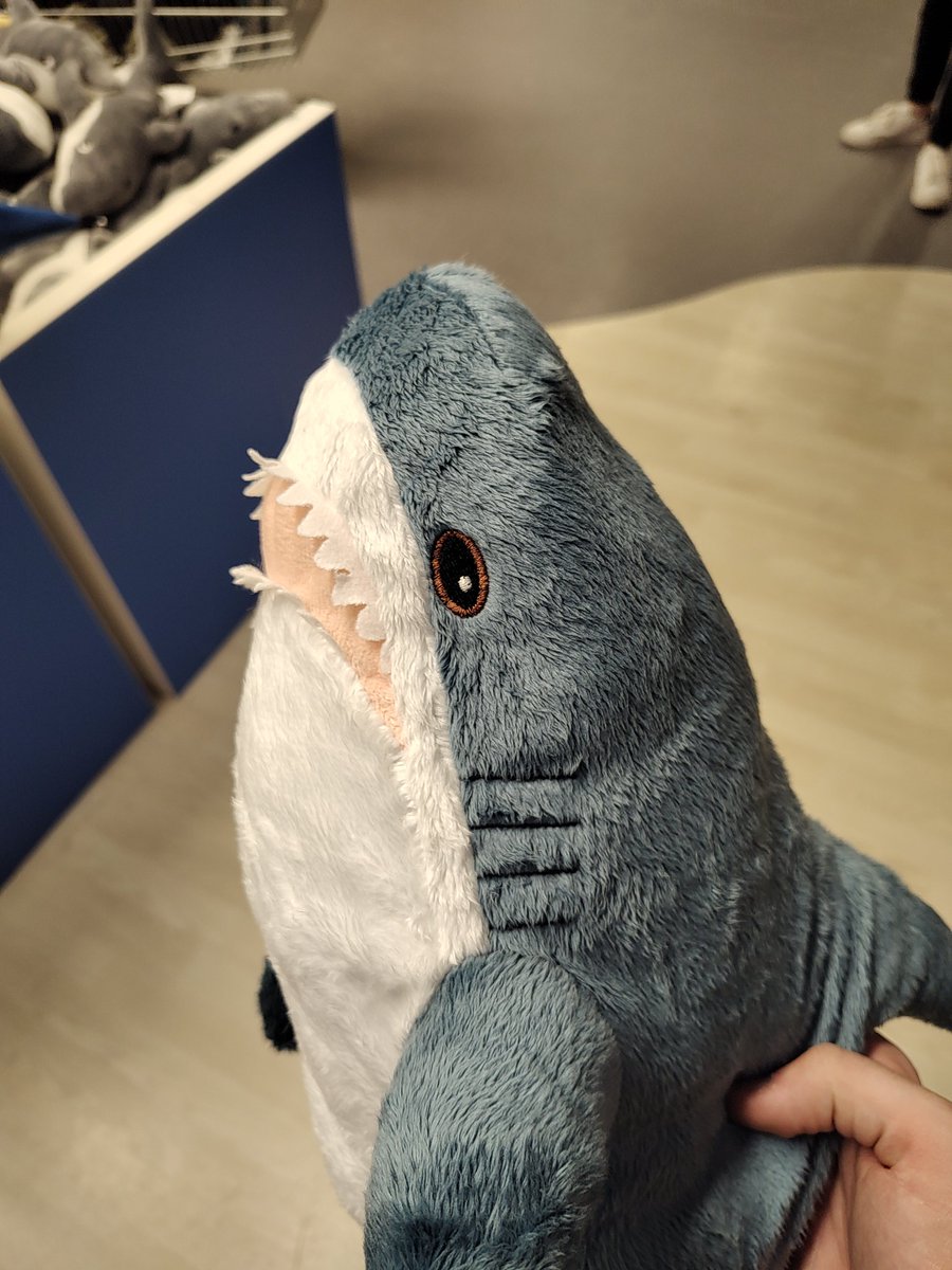 tk_absorb's tweet image. Blåhaj :)