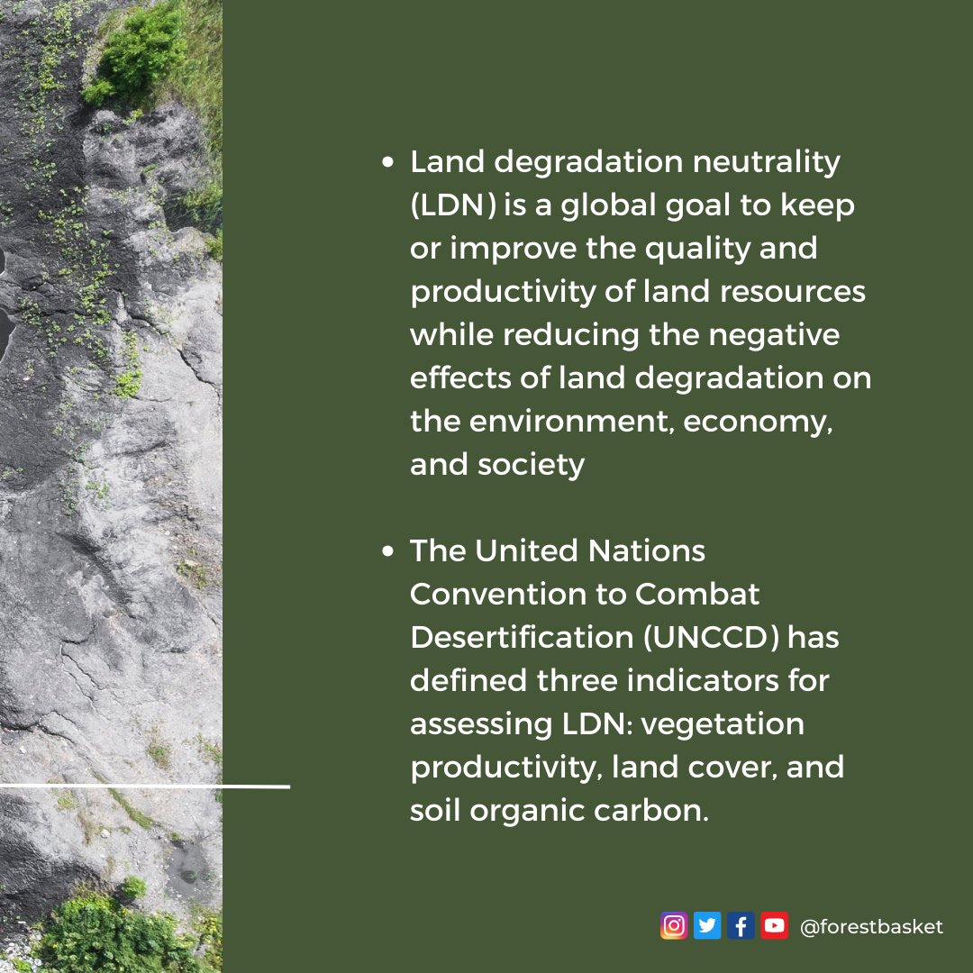 ForestBasket's tweet photo. Land Degradation Neutrality (LDN): Preserve the land for a balanced planet, support ecosystems, and enhance food security.
Your actions matter – embrace sustainability and join reforestation efforts. Together, let's build a resilient, nourished future.
#Forestbasket #PLANET https://t.co/xwpNGA6ZQY
