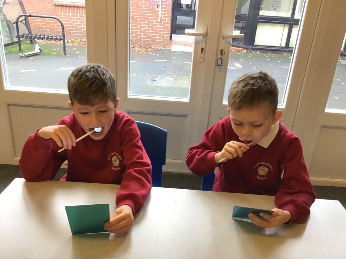 RalphBPSch_York's tweet photo. Class 6 learnt about the different types of teeth and their uses. They enjoyed making their own models of teeth out of plasticine. #RBPSScience https://t.co/ELaD6F2yGx
