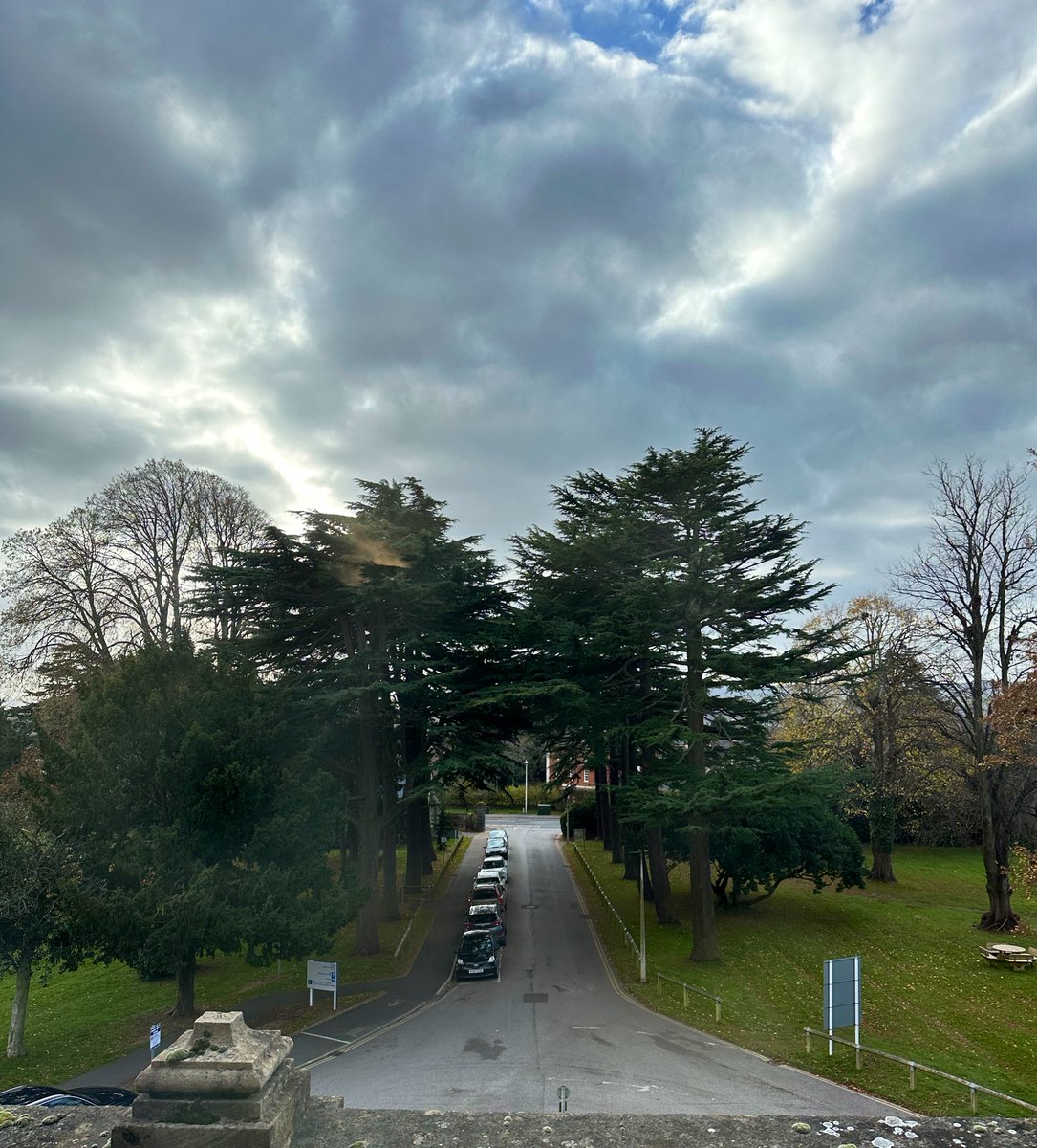 finola_ellis's tweet photo. And what a beautiful view out of our office window ππ very autumnal! π²πΏ #greatplacetowork #joindpt #mentalhealthnursing #internationalnursing #liveindevon https://t.co/mjyrAZRwe9