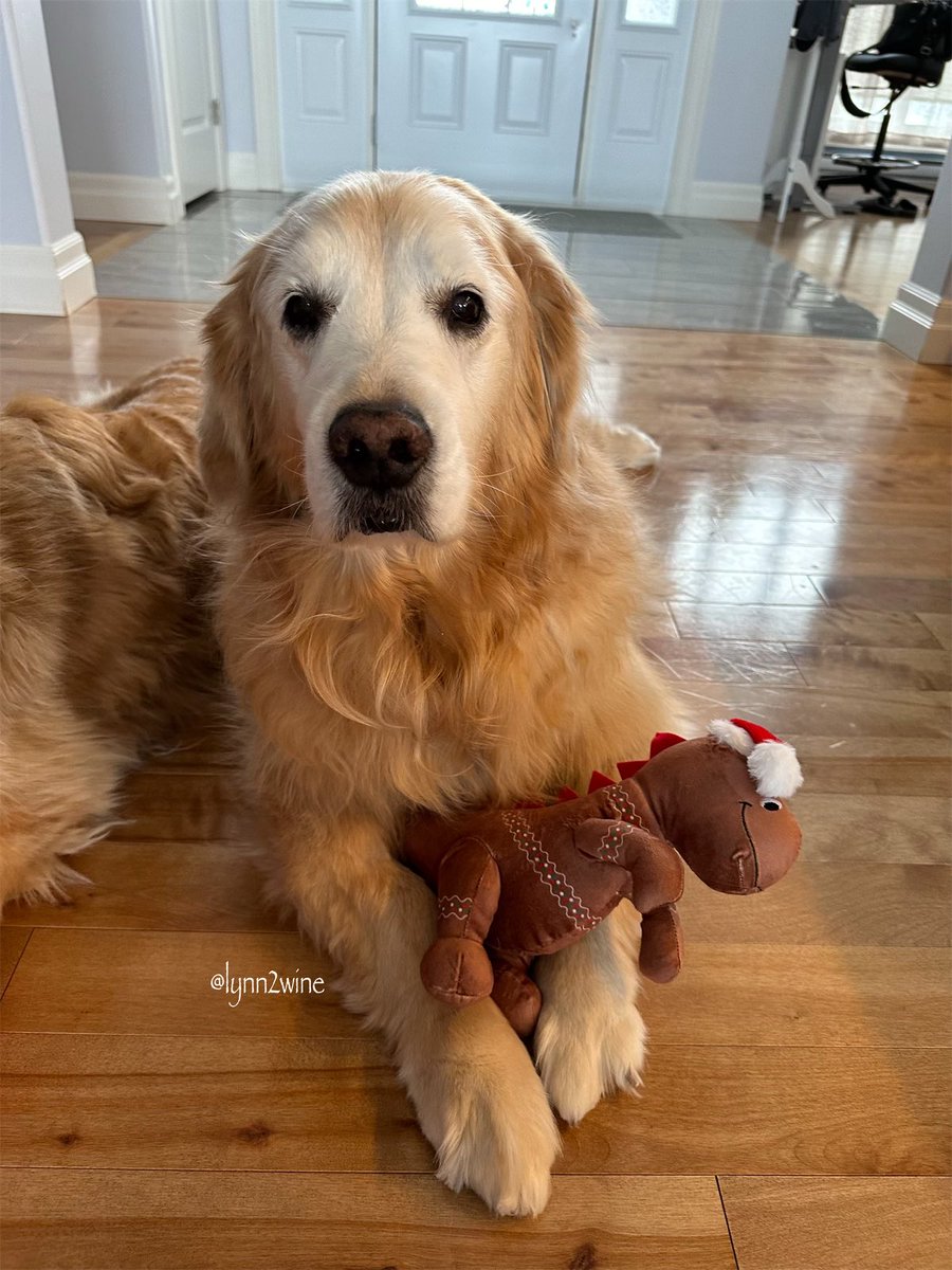 🇨🇦Lynn & Murphy of the North🇨🇦 tweet media