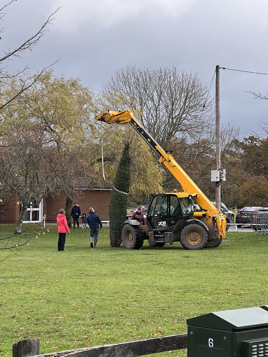 Mortimer Life tweet media