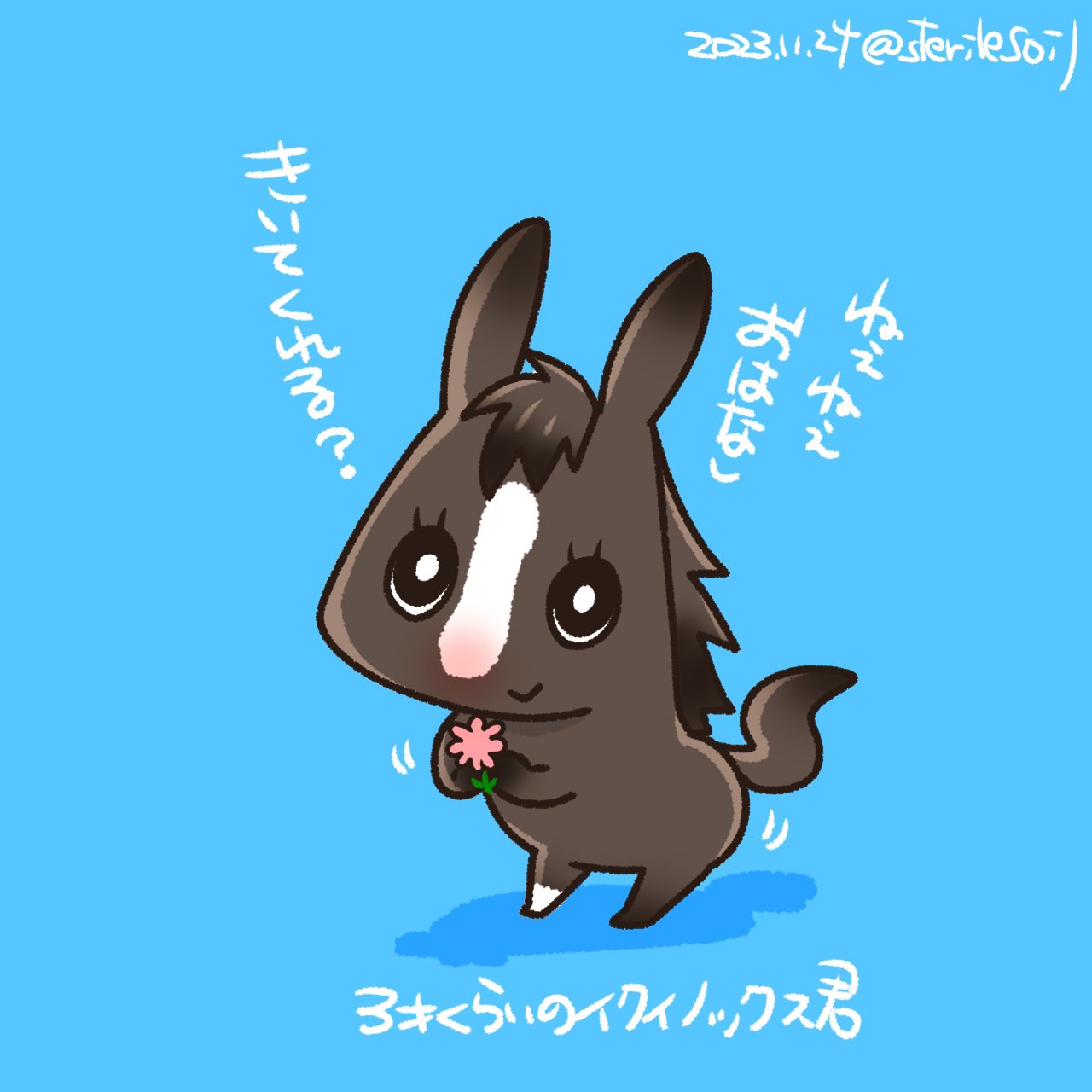 キクコ on X: 