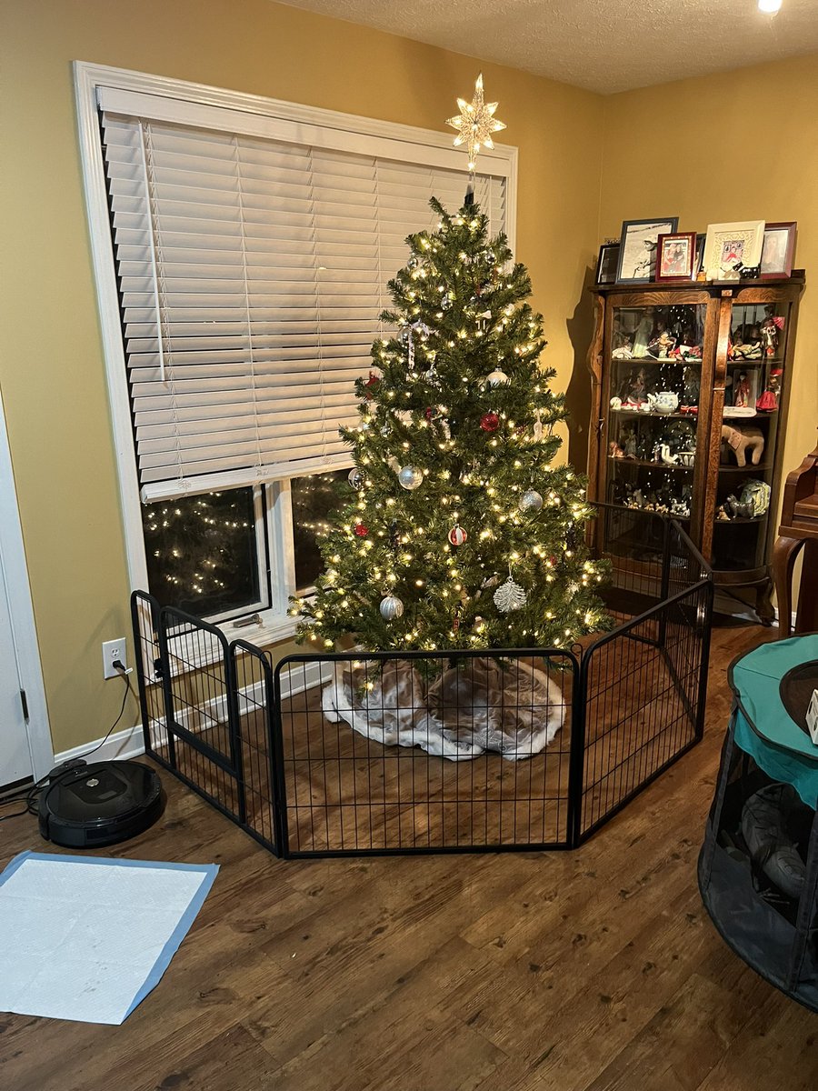 Wooster’s World (& Bertie too!) tweet media