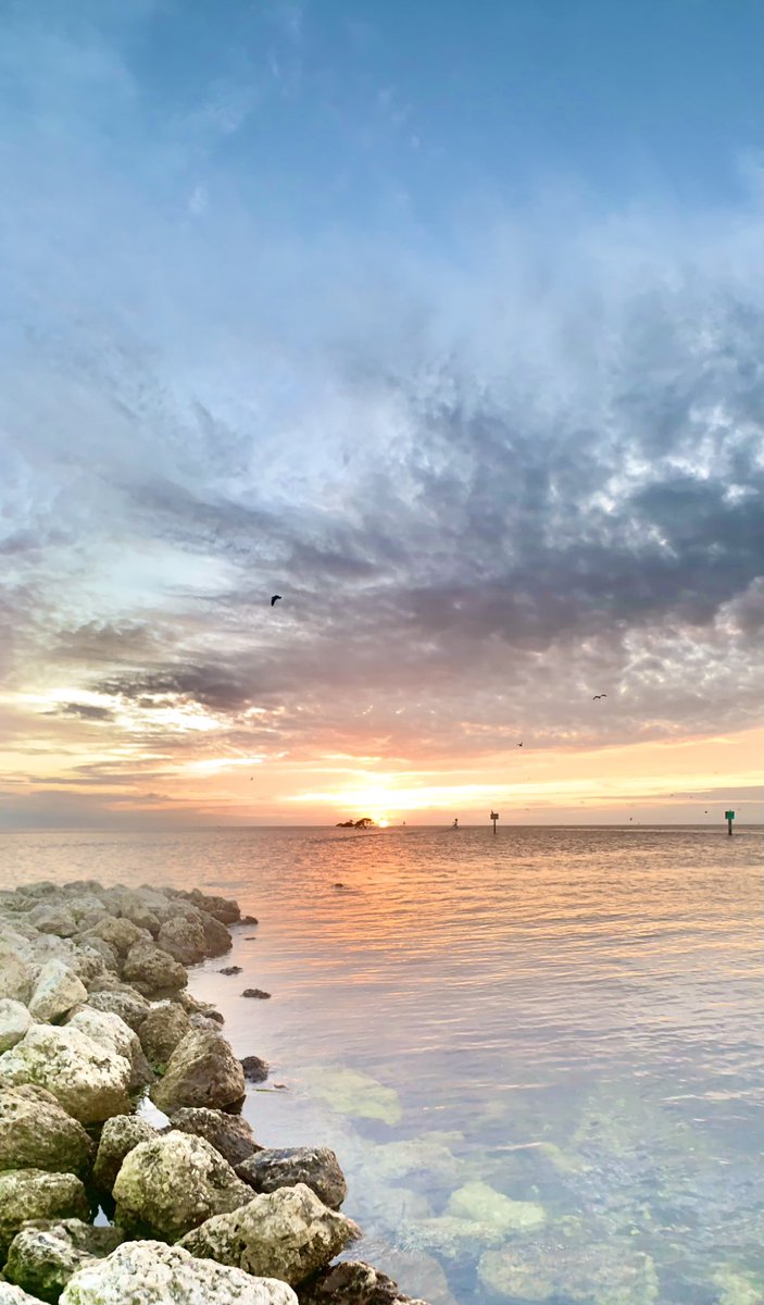 Sammy Flores tweet media