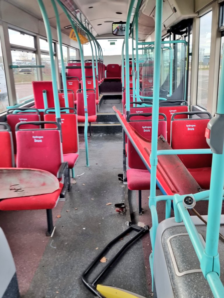 Noel Dolphin tweet media