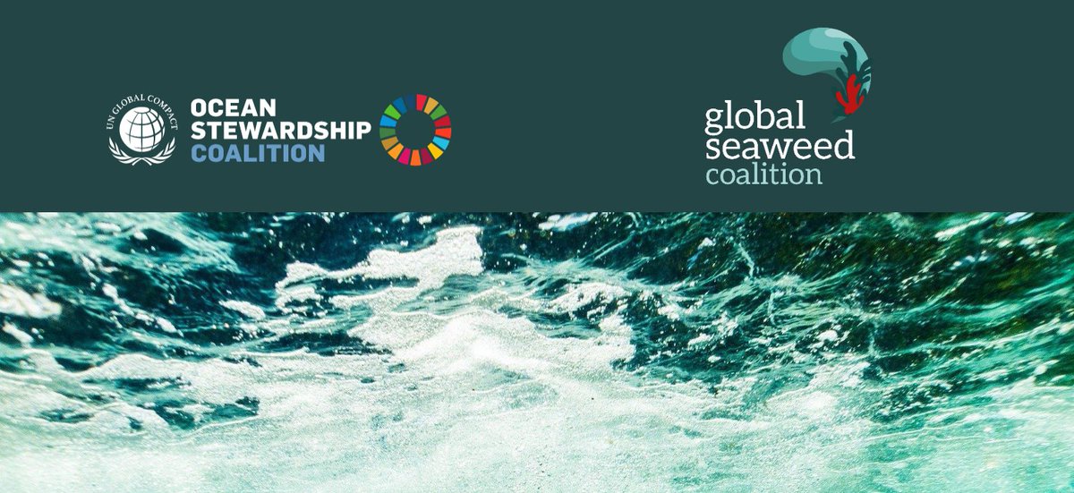 📅 Save the date: “Best Practice Recommendations for Sustainable #SeaweedFarming”, November 28, 14:00 - 16:00 CET ! 

Zoom link: us02web.zoom.us/j/87212897483?…

🌊🌊🌊

#GlobalSeaweedCoalition #SustainableAquaculture #SustainabilityStandards #Smallholders #SeaweedAquaculture