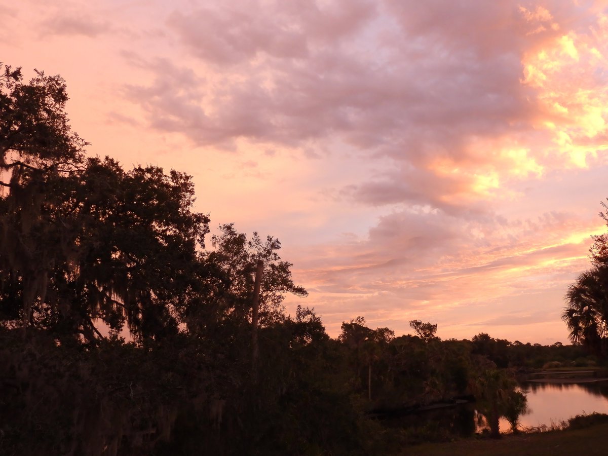 riverguy47's tweet image. A Florida good morning to all.