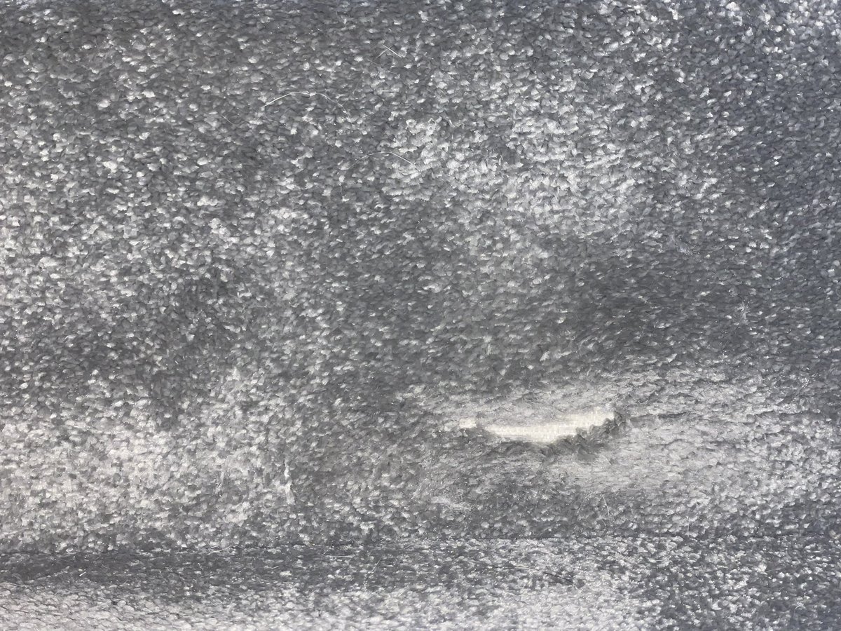 Joe Pace tweet media