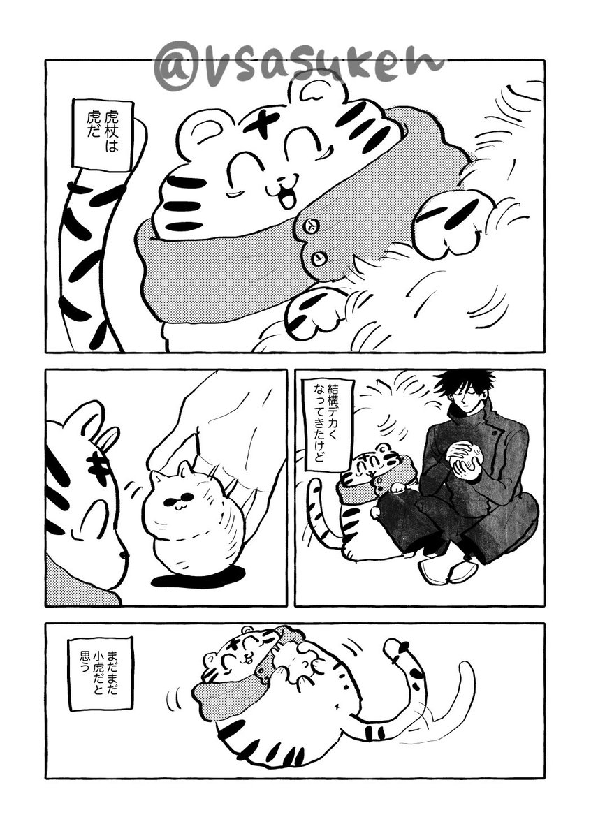 イベントで配ってた一応五悠のつもり漫画です(1/2)
⚠️❺せんが巨猫で🐯はんが小虎です 