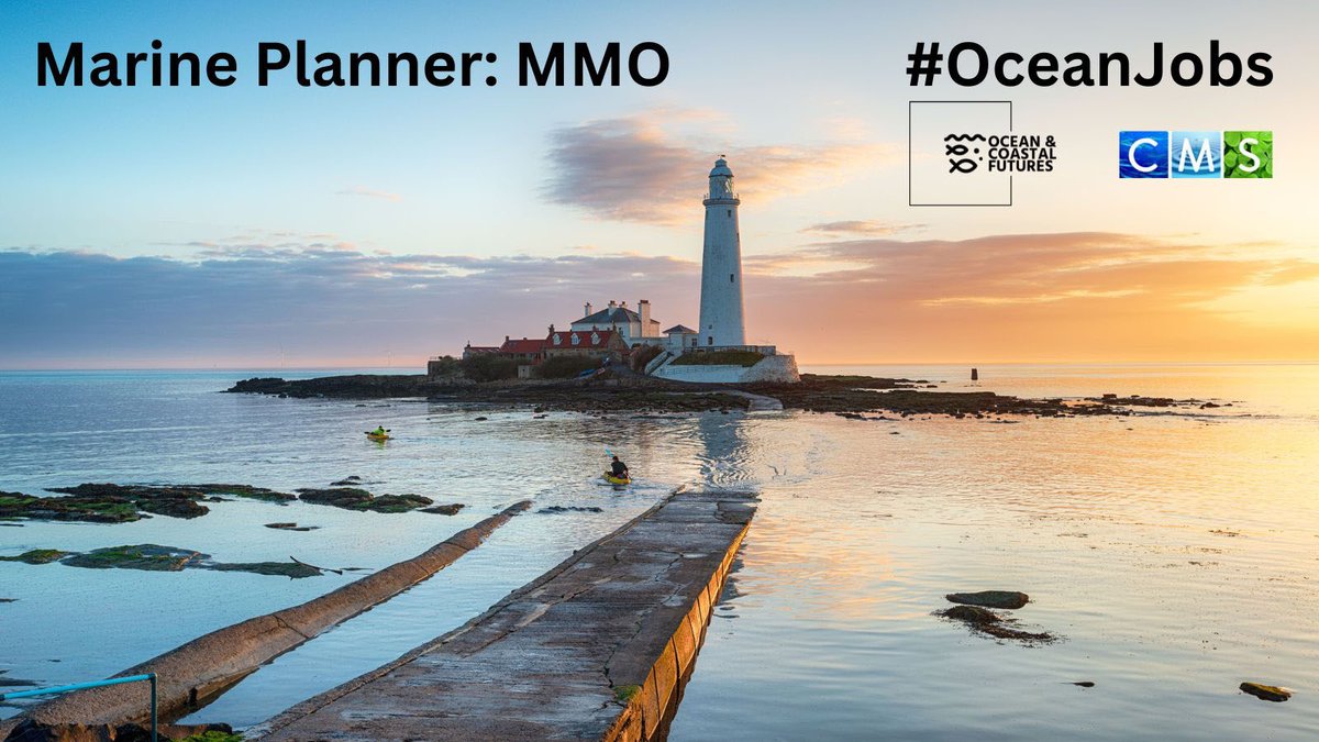New job opportunity: Marine Planner - @The_MMO ▪️Salary: ~£31-39k ▪️Location: England ▪️Closes: 23:55 (GMT) 12 December ▪️Full details here 👉cmscoms.com/?p=37123 Sign up for our CMS/OCF #OceanJobs alerts here 👉 bit.ly/3MiyV7i