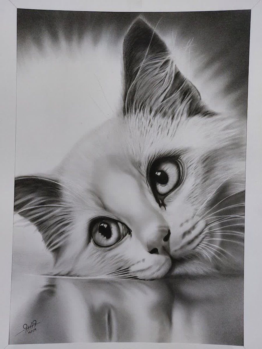 Davod art tweet media