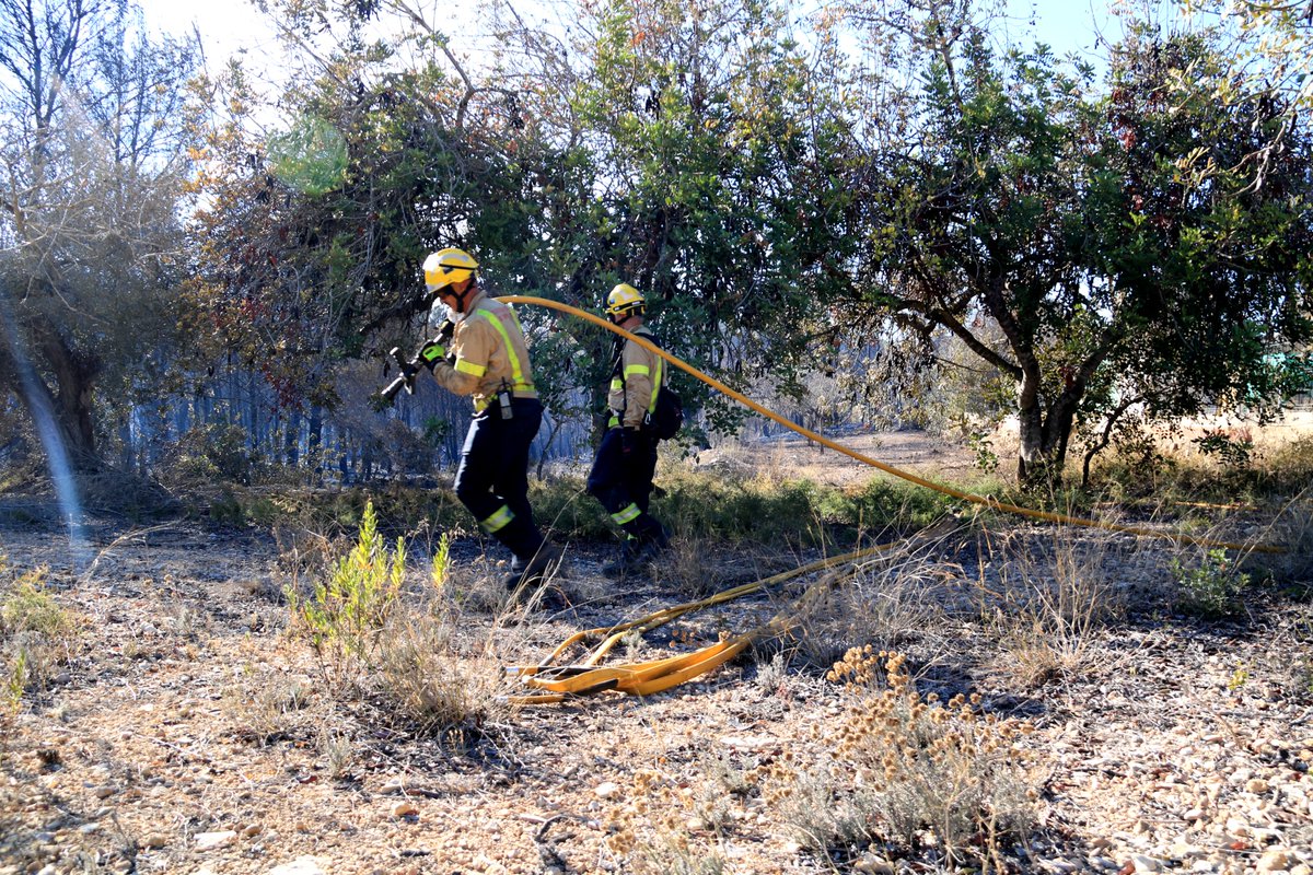 CatInfo Lleida tweet media