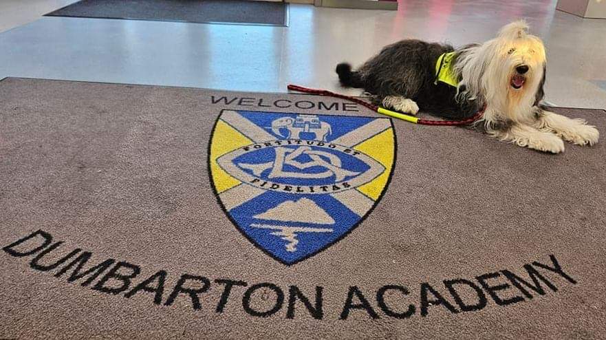 𝐓𝐡𝐞𝐫𝐚𝐩𝐞𝐭® 𝐓𝐚𝐥𝐥𝐢𝐞 visited 𝐃𝐮𝐦𝐛𝐚𝐫𝐭𝐨𝐧 𝐀𝐜𝐚𝐝𝐞𝐦𝐲 2day - 𝐓𝐚𝐥𝐥𝐢𝐞 met pupils from 𝐒𝟏 &amp; 𝐒𝟐 - They heard what a Therapet does &amp; where we visit &amp; benefits of a Therapet in school...  💜🐾💜
<a href="/Dumbarton_Acad/">Dumbarton Academy</a>
<a href="/TherapetC/">@Therapet-CCST</a> <a href="/CanineConcern/">CanineConcernTrust</a>
<a href="/burnspetfood/">Burns Pet Nutrition</a>