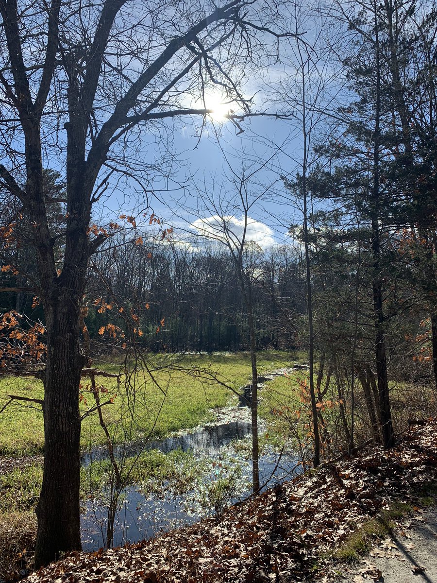 Blue skies for a post-Thanksgiving walk on the #Holliston Rail Trail.