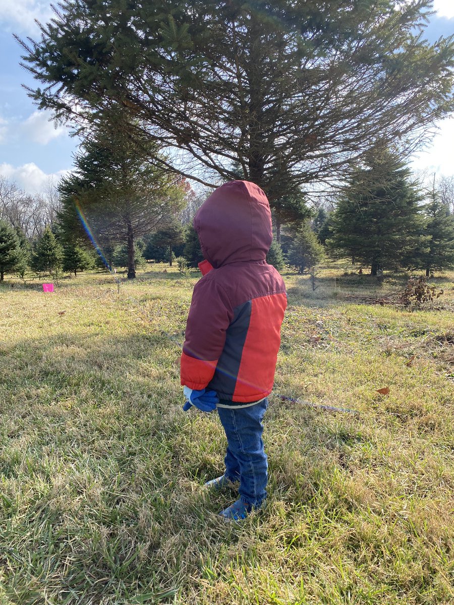 My youngest helping sell Christmas Trees on the farm. #CincinnatiTreeFarm #ChristmasTreeFarm #Cincinnati #TreeFarm #ChristmasTree