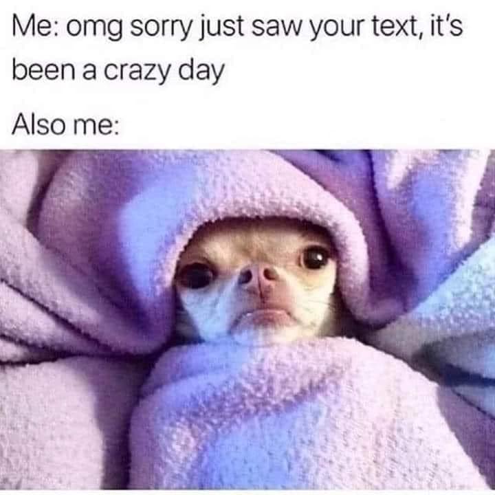 dog survival (@dogssurvival) on Twitter photo 