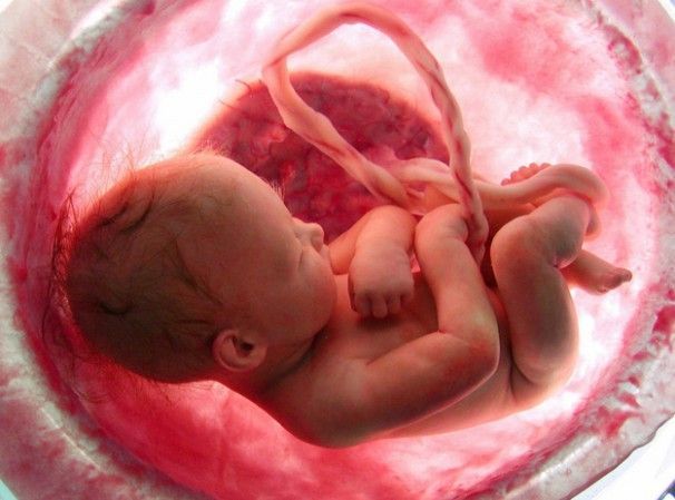 VICTORY! Nevada Judge Rejects Attempt to Make Killing Babies in Abortions a Constitutional Right buff.ly/46uNoGc